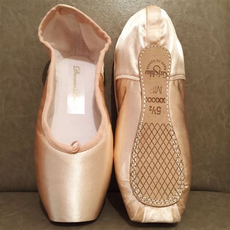 fake grishko pointe shoes